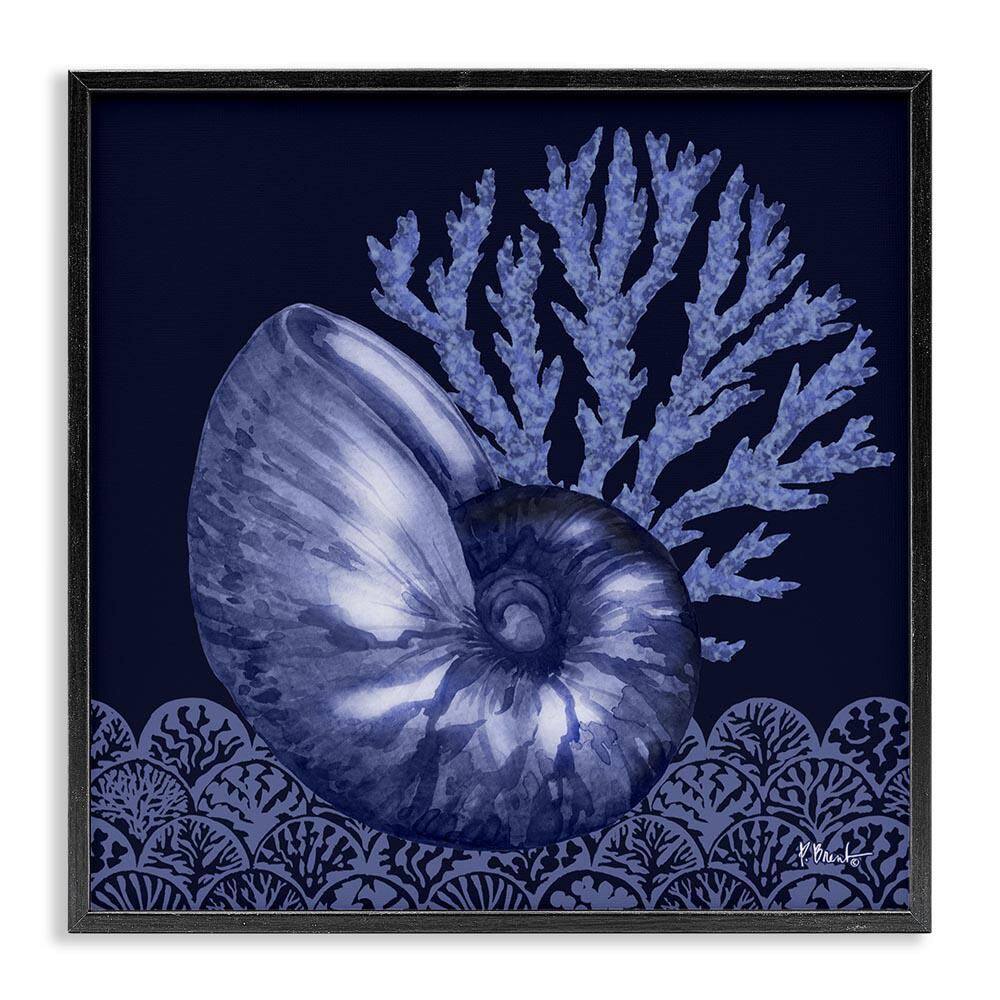 Shadow Nautilus Shell by Paul Brent Black Framed Coastal Giclee Art Print 12 in. x 12 in.