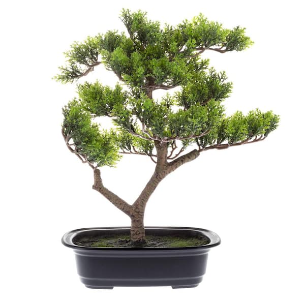Earth Worth 14.5 in. Artificial Pine Bonsai Tree - Potted Faux Plant with Ceramic Planter - Natural Looking Greenery Accent