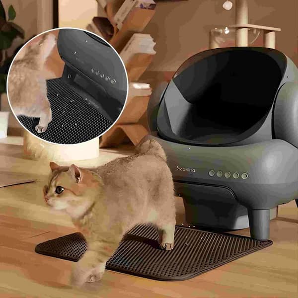 neakasa M1 Plus Open Top Self-Cleaning Cat Litter Box M1 Plus