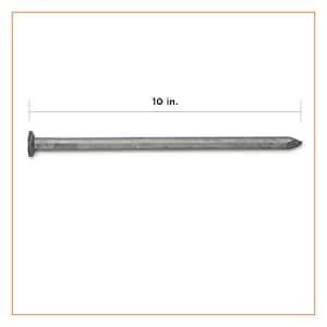 10 in. Hot Dipped Galvanized Common Spike Nail