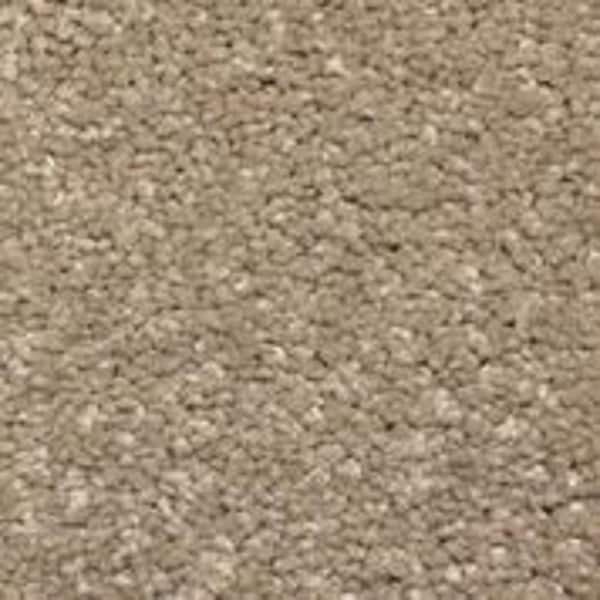 Home Decorators Collection Sycamore II - Ash - Brown 58 oz. SD Polyester Texture Installed Carpet