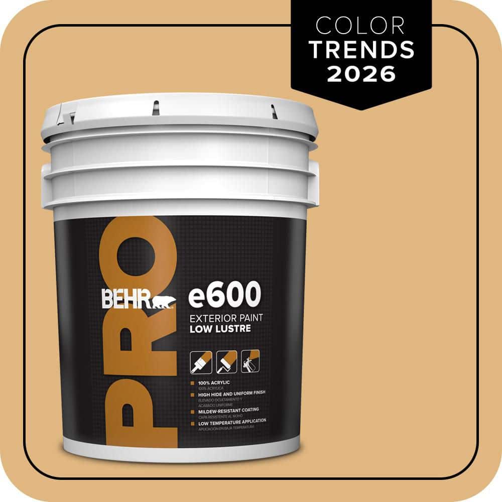 5 gal. #M270-5 Beehive Low Luster Exterior Paint price history on PriceWatchPro