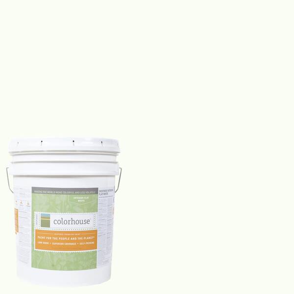 Colorhouse 5 gal. Imagine .02 Flat Interior Paint