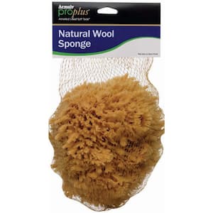 7 in. Wool Sea Sponge (Case of 6)