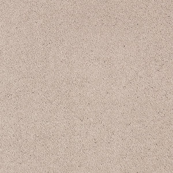 Lifeproof Appreciate I  - Morning Shadow - Gray 47 oz. Triexta Texture Installed Carpet
