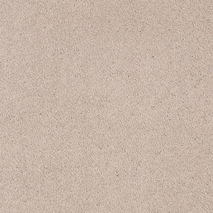 Appreciate II  - Morning Shadow - Gray 58 oz. Triexta Texture Installed Carpet