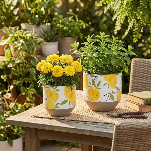 Liv & Skye 6 in. and 7 in. Yellow Ceramic Growing Lemons