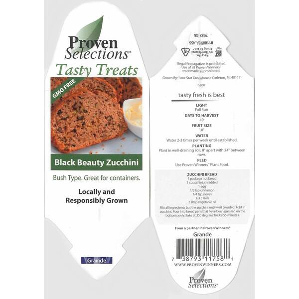 PROVEN WINNERS - 4.25 in. Grande Proven Selections Black Beauty Zucchini Live Plant Vegetable (Pack of 4)