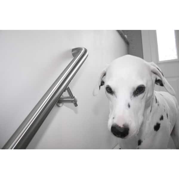 Round Bracket for Flat and Round Tube 2.5 in. Stainless Steel Handrail Wall Bracket
