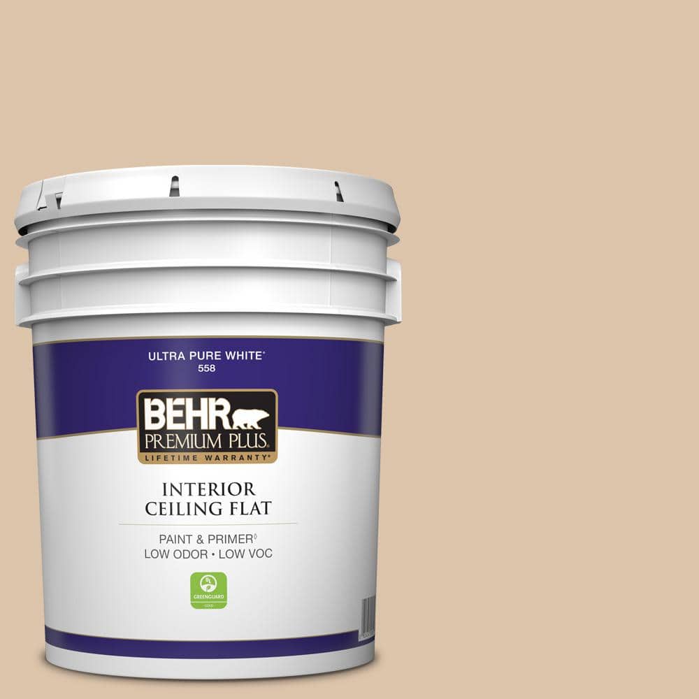 5 gal. #PPU4-08 Plateau Ceiling Flat Interior Paint price history on PriceWatchPro