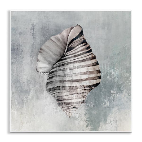 Stupell Industries Organic Twisted Seashell by Eli Jones Unframed Coastal Graphic Art Print 12 in. x 12 in.
