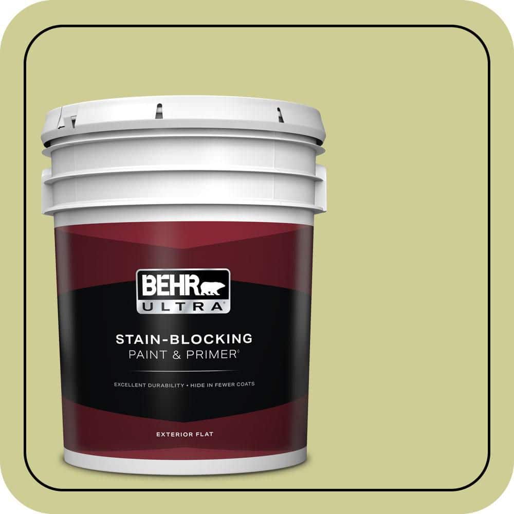 5 gal. #400D-4 Corn Husk Green Flat Exterior Paint & Primer product image for price tracking