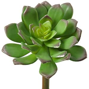 Indoor 7 in. Artificial Green Echeveria (Set of 12)