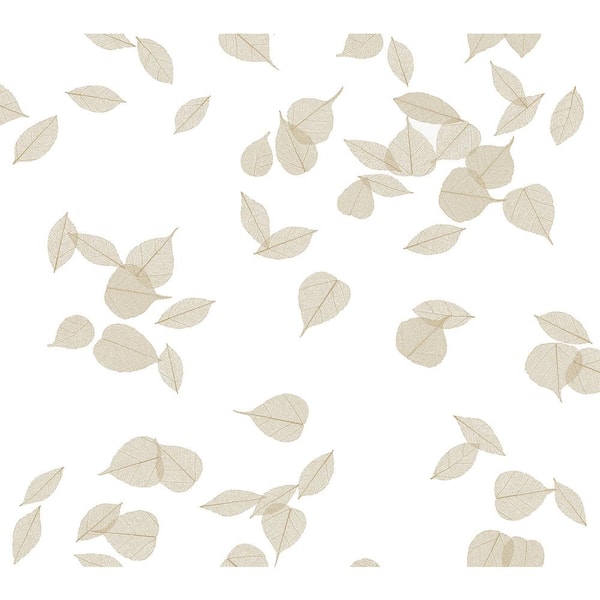 York Wallcoverings Aviva Stanoff Inner Peace Champagne Peel and Stick Wallpaper