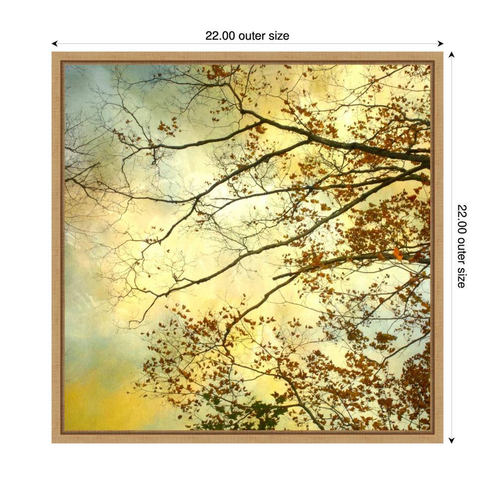 Storm Clouds II 22"x22" Maple Framed Canvas Wall Art