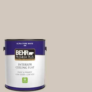 1 gal. #N210-2 Cappuccino Froth Ceiling Flat Interior Paint