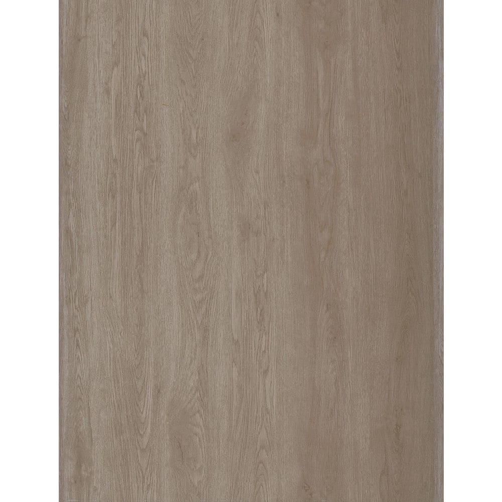 Take Home Sample-GlueCore Essentials Frisco Waterproof Glue-Down Luxury Vinyl Plank Flooring-3 in. W x 6 in. L price history on PriceWatchPro