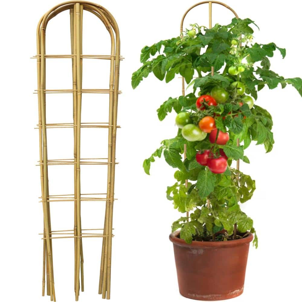4 ft Bamboo Garden Trellis Plant Support Natural Brown 3 Pack GSL666 ...