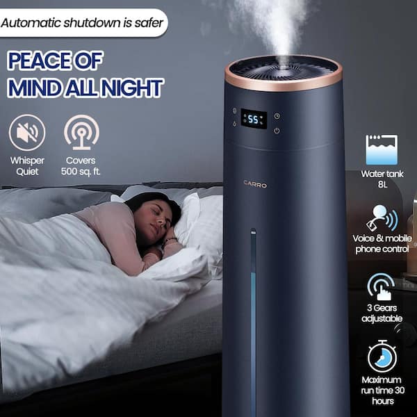 Quiet Ultrasonic Cool Mist Humidifier 5L w/Auto Shut-Off Adjustable Mist  Output Double 360° Nozzle Negative Ion, Black NBYY-RY-3665 - The Home Depot