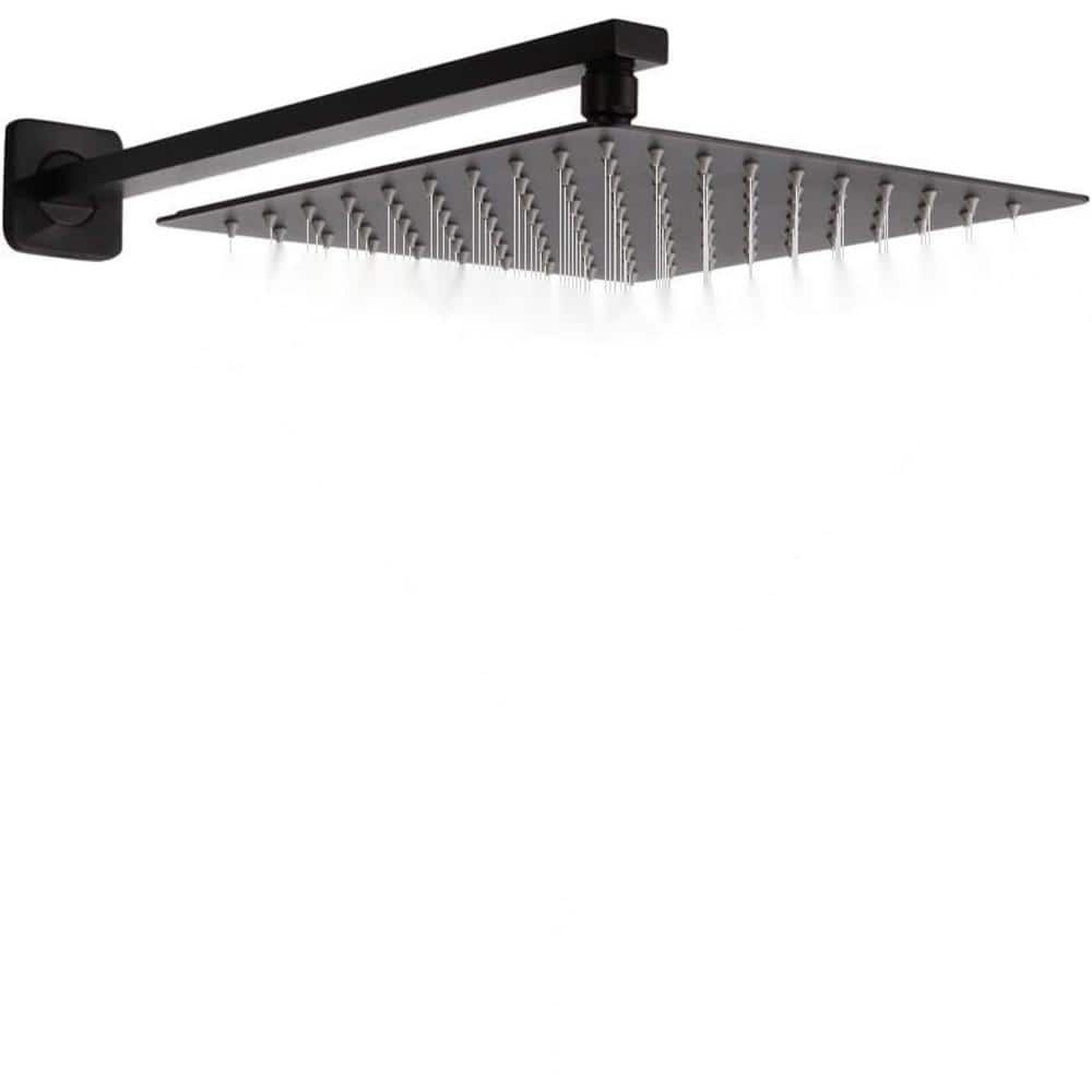 Rain Shower Head 1-Spray Patterns with 1.8 GPM 10 in., ‎Wall Mount Rain F