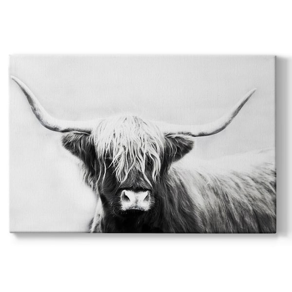 Wexford Home Highland Longhorn By Danita Delimont 1-Piece Unframed Giclee Home Art Print 24 in. x 36 in.