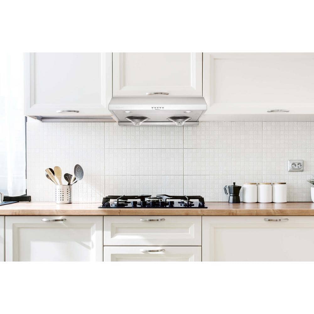 Hauslane 30" Stainless Steel Under Cabinet Range Hood with Charcoal Filter