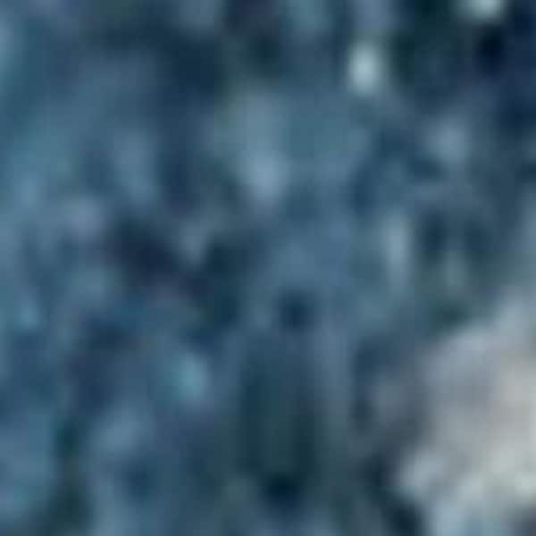 5' X 7' Ivory And Blue Floral Area Rug