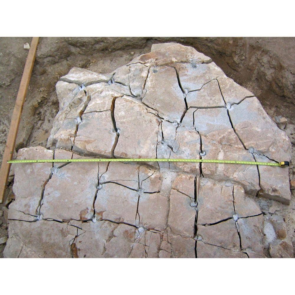 Dexpan 44 Lb Expansive Demolition Grout for Concrete and Rock