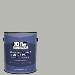 1 gal. #PPU18-11 Classic Silver Ceiling Flat Interior Paint & Primer