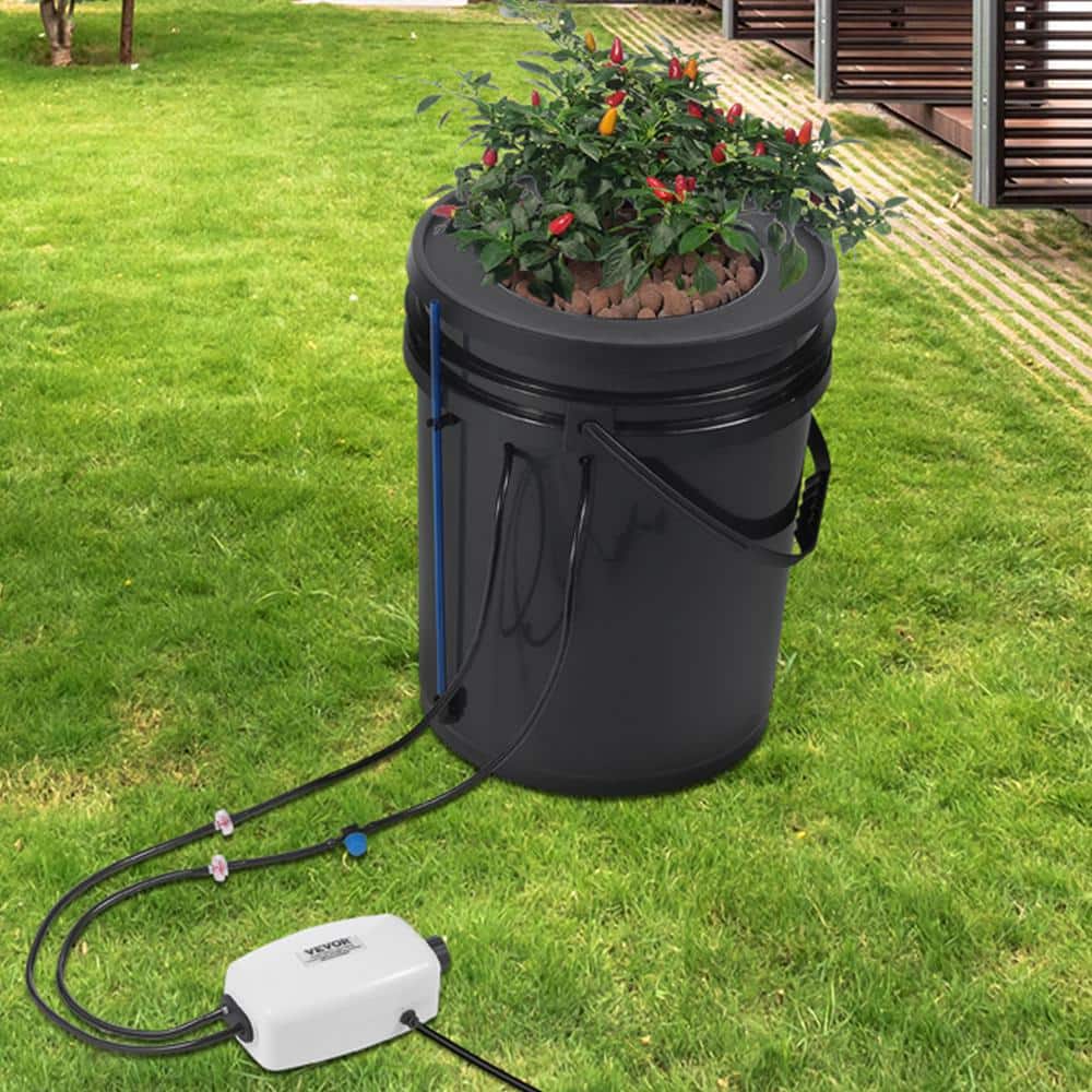Black 5-Gallon Hydroponic Grow System with Air Pump