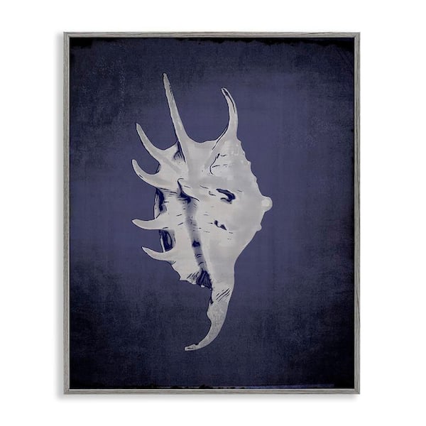 Stupell Industries Spider Conch on Indigo by Graffi tee Studios Gray Framed Coastal Giclee Art Print 20 in. x 16 in.