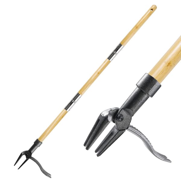 Oyezvary Stand Up Weed Puller Tool with Long Handle Bamboo and 4-Claw Steel Head for Lawn and Yard Weeding Effortlessly