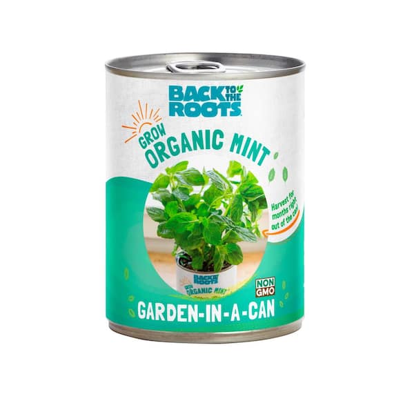 Garden in a Can Organic Mint Plant