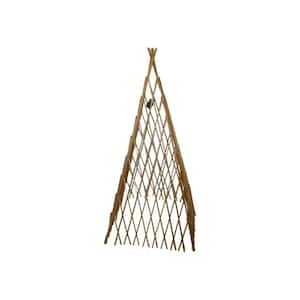14 in. W x 60 in. H Classic Willow Expandable Trellis Teepee