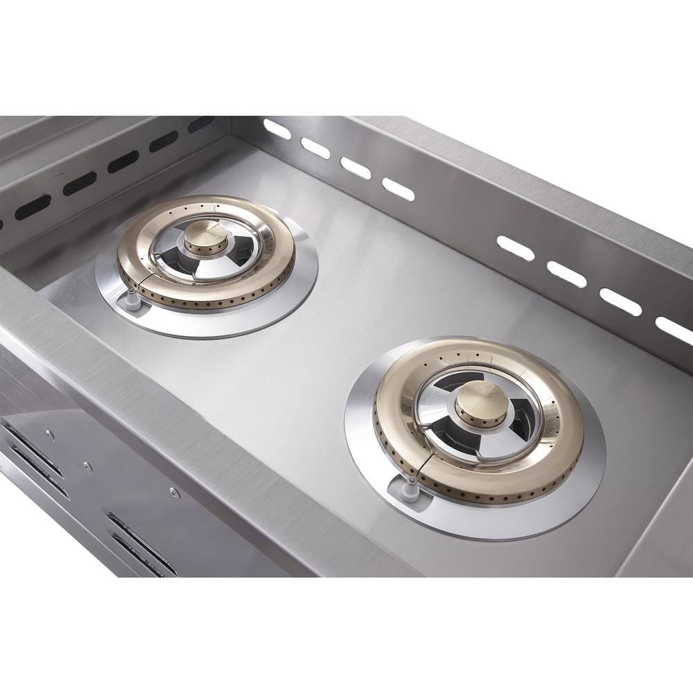 Stainless Steel Dual Control Propane Side Burner