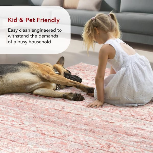 nuLOOM Sunniva Moroccan Pink 4 ft. x 6 ft. Area Rug ACSD04A-406