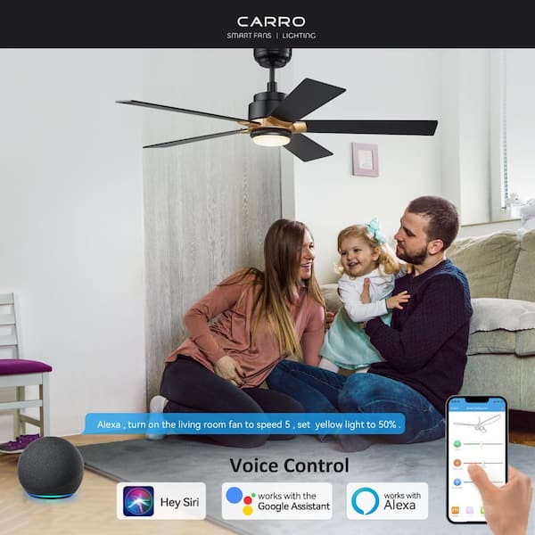 Aspen 52 in. Dimmable LED Indoor/Outdoor Black Smart Ceiling Fan with Light and Remote, Works with Alexa/Google Home