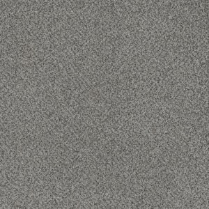 Serene Glory I-Calm Gray-40 oz. SD Polyester Texture Installed Carpet