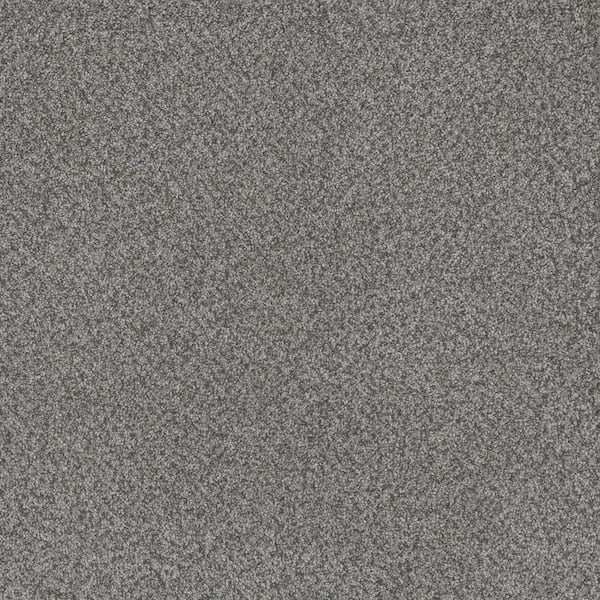 Home Decorators Collection Serene Glory I-Calm Gray-40 oz. SD Polyester Texture Installed Carpet