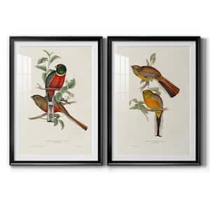 Elegant Trogons III By Wexford Homes 2-Pieces Framed Abstract Paper Art Print 26.5 in. x 36.5 in.