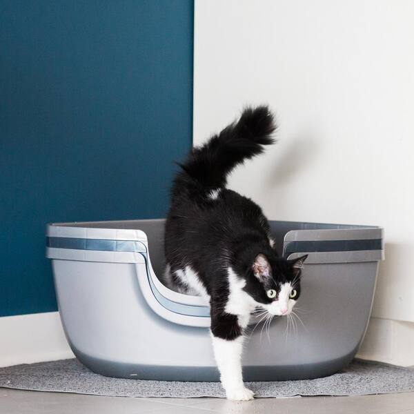 corner sifting litter box