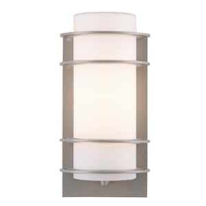 Zephyr 11 in. 1-Light Silver Cylinder Outdoor Wall Light Fixture with Frosted Glass