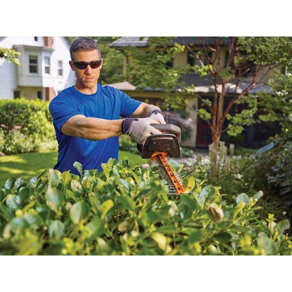BLACK+DECKER 40V MAX Cordless Battery Powered Hedge Trimmer (Tool Only)  LHT2436B - The Home Depot