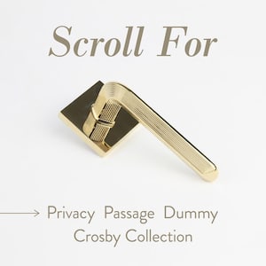 Crosby Polished Brass Passage Hall/Closet Modern Door Handle (Right Hand)
