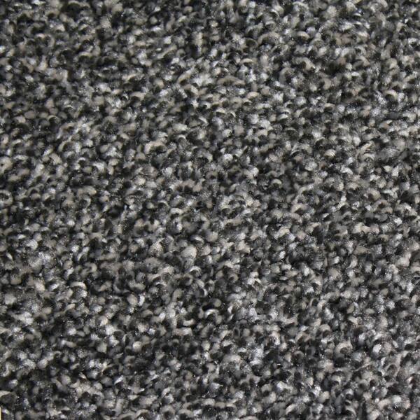 Home Decorators Collection 8 in. x 8 in. Texture Carpet Sample - Shackelford II -Color Top Quality
