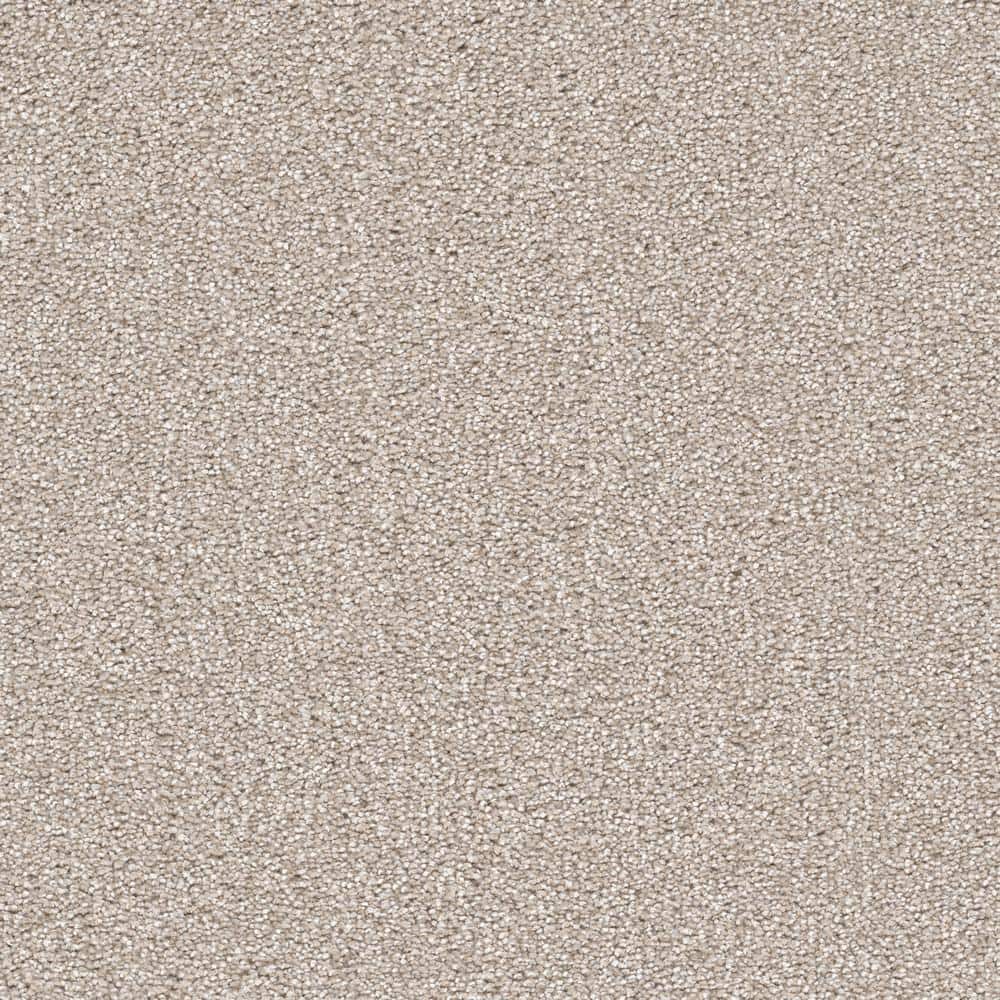 8 in. x 8 in. Texture Carpet Sample - Soft Breath Plus III -Color Imperial price history on PriceWatchPro