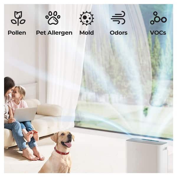 1.5 Gallon Air Purifier for Large Room with Auto Mode and Air Quality Indicator, Silent Operation