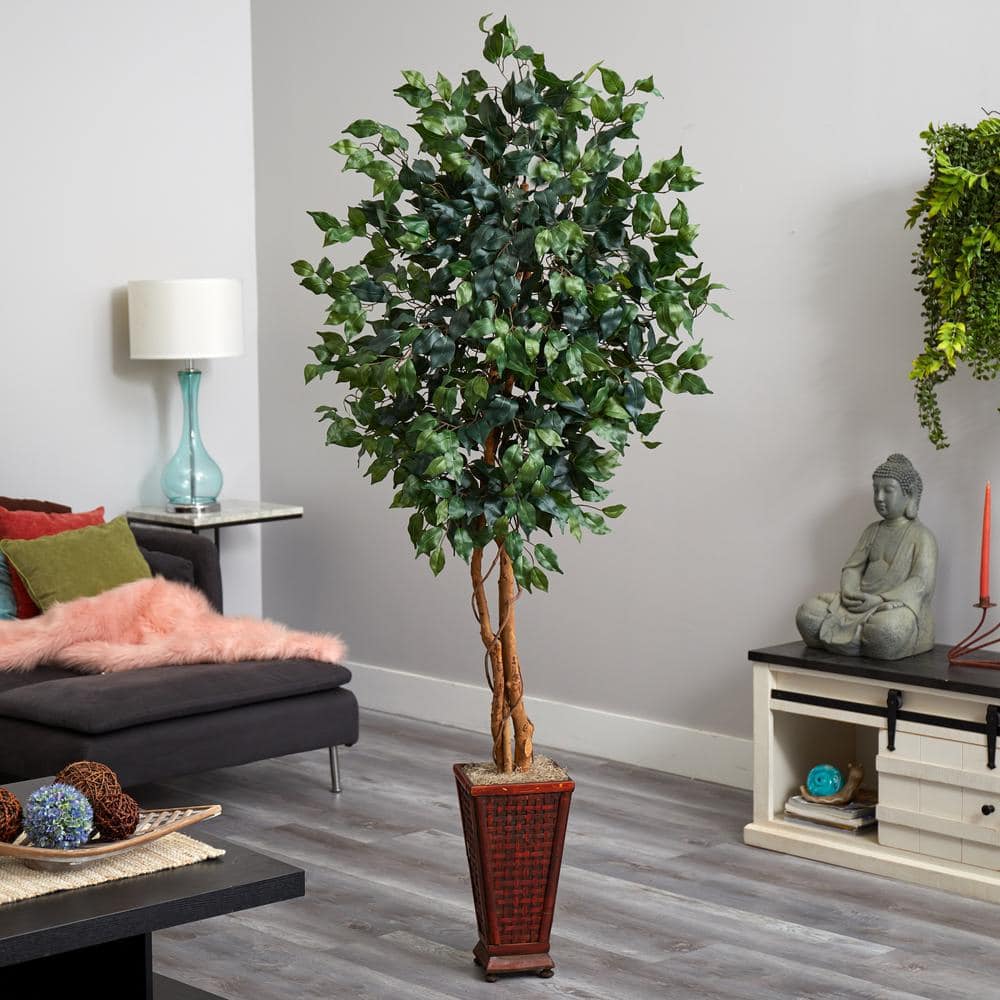 6.5' Green Silk Ficus Tree with Decorative Planter