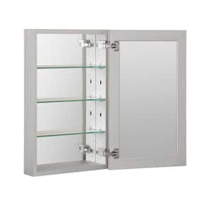 19 in. W x 30 in. H Silver Glass Recessed/Surface Mount Rectangular Medicine Cabinet with Mirror
