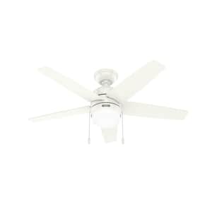 Bardot 44 in. Indoor Fresh White Ceiling Fan with Light Kit Included